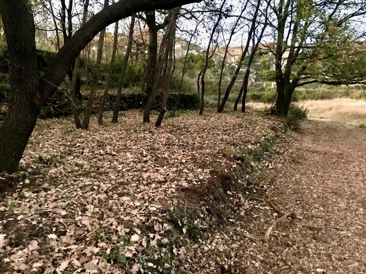 Terre Di Monacella Villa Santa Venerina Bagian luar foto